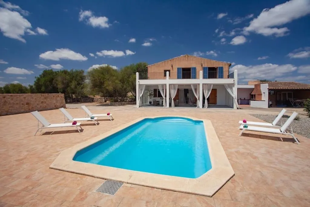 Eco Villa Son Calor Петра